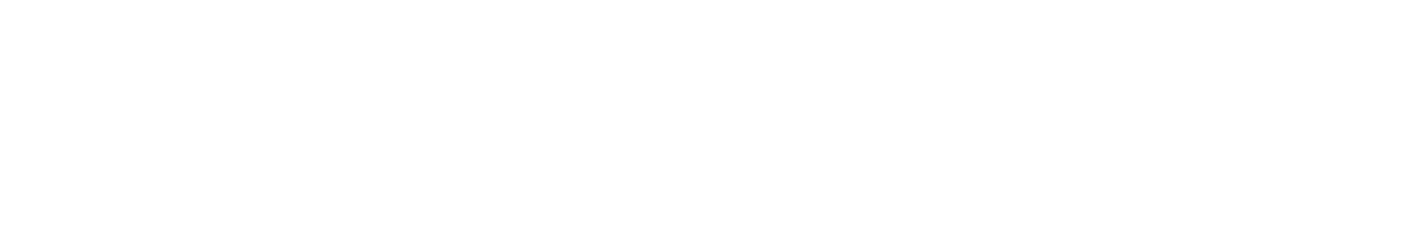 MoneyCapp logo hvid